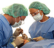 Das Einsetzen der Implantate